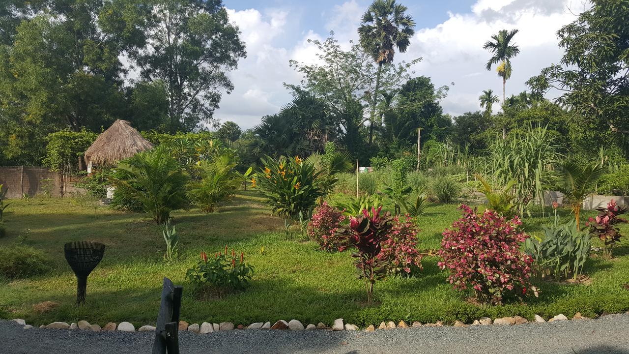 Gecko Village Kampot Exterior foto
